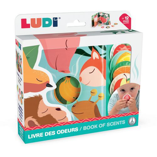 Livre Des Odeurs Fruits