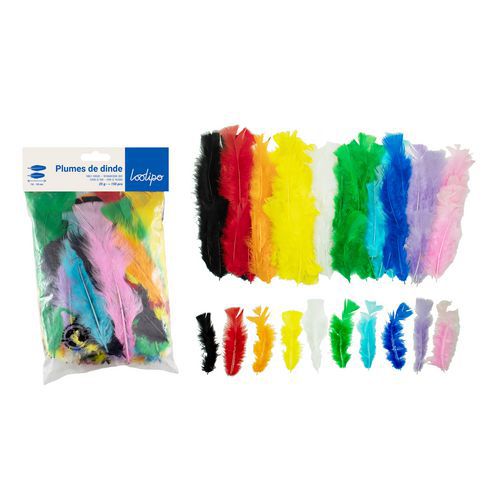 Sachet De 150 Plumes Multicolores