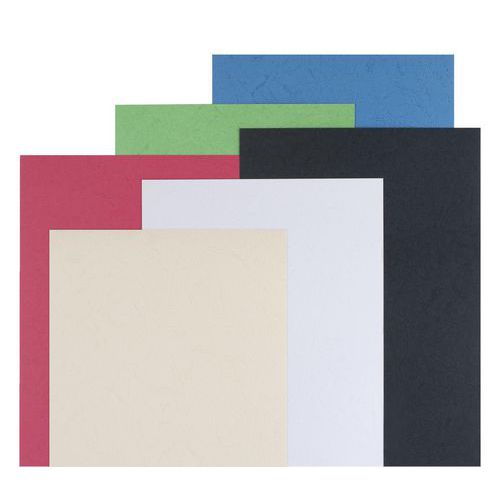 Boite 100 plats couvertures carton couleurs assorties