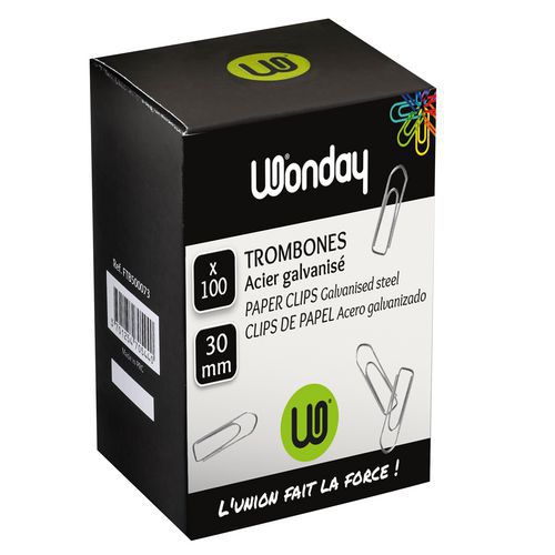 Boite de 100 trombones 30 mm - Wonday