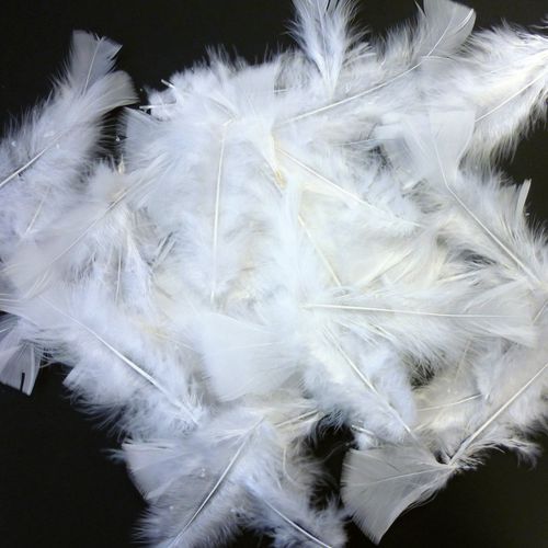 Sachet de 100 plume blanche