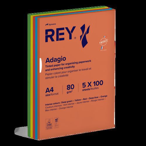Ramette 500 Feuilles A4 80g Vives