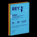 Ramette 250 Feuilles A4 160g 5 Teintes Vives