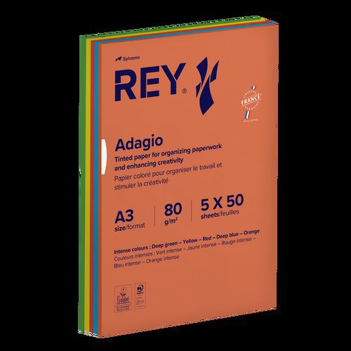 Ramette 250 feuilles A3 80g 5 teintes vives assorties - Rey