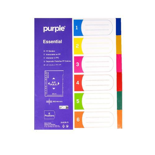 Jeu 6 Maxi Intercalaires Polypropylène A4+