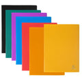 Reliure plastique A4 30 volets transparents