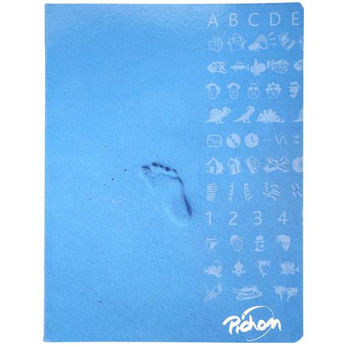 Cahier 17x22 cm super 48 pages seyes 90g - Pichon