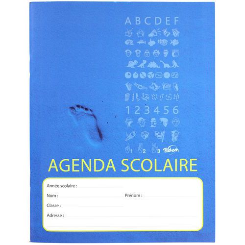 Agenda scolaire 80g 17x22 cm 80 pages - Pichon