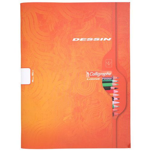 Cahier dessin albums maternelle 24x32 cm 48 pages uni 120g - Pichon