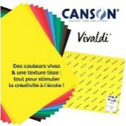 Lot 120 feuilles dessin couleurs vives 50x65 cm 185g iris - Canson