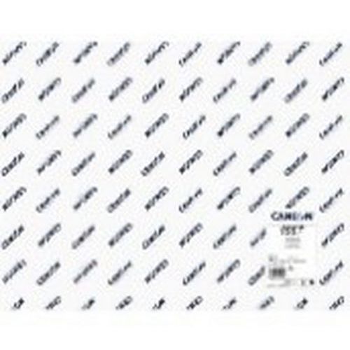 Paquet De 250 Feuilles Dessin Blanc 120g 50x65 Cm