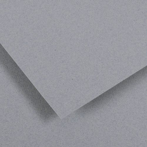 Papier dessin Canson Ingres Vidalon 100g - 50 x 65 - gris ciel