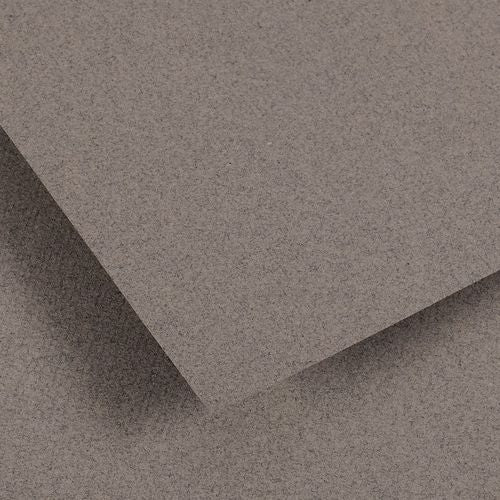 Papier dessin Canson Ingres Vidalon 100g - 50 x 65 - gris chiné