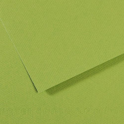 Papier Dessin Canson 160 G - 50 X 65 - Vert Pomme