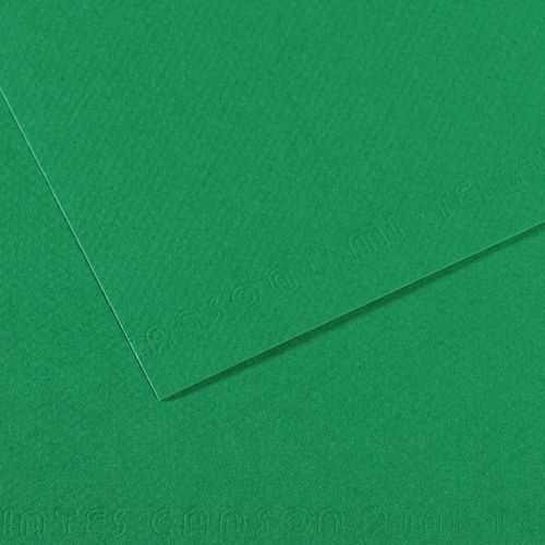 Papier dessin Canson 160 g - 50 x 65 - vert billard