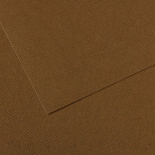 Papier Dessin Canson 160 G - 50 X 65 - Marron Foncé