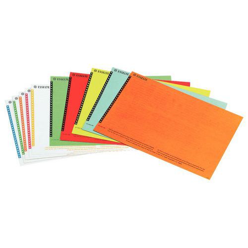 Lot 250 étiquettes pour dossier suspendu tiroir coloris ass - Esselte