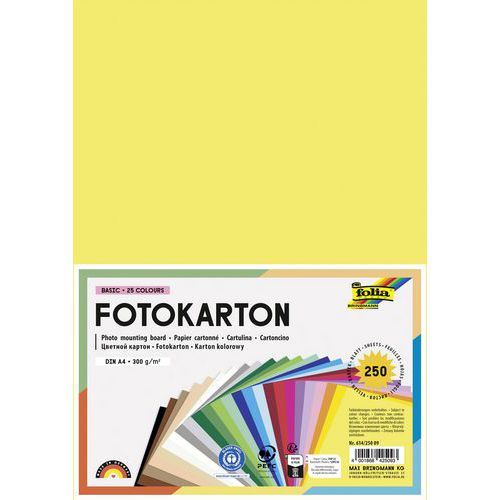 Paquet de 250 feuilles A4 300g 25 couleurs assorties - Folia