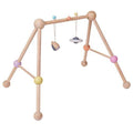 Arche d'activité bois pastel - PlanToys