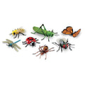 Insectes géants - Learning ressources