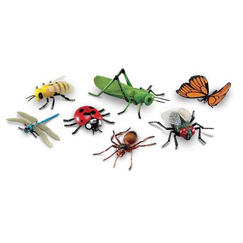Insectes géants - Learning ressources