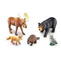 Animaux De La Forêt Géants
