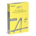 Ramette 500 Feuilles Vives 80g A4 - Citron
