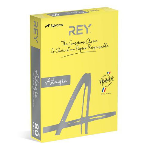Ramette 500 Feuilles Vives 80g A4 - Citron