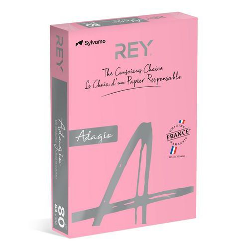 Ramette 500 Feuilles Vives 80g A4 - Rose Vif