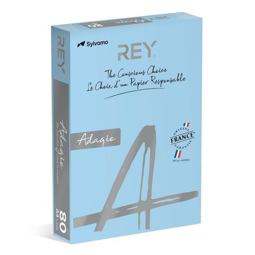 Ramette 500 Feuilles Vives 80g A4 - Bleu Ciel
