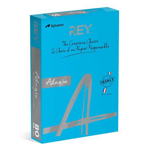 Ramette 500 Feuilles Vives 80g A4 - Bleu Mer