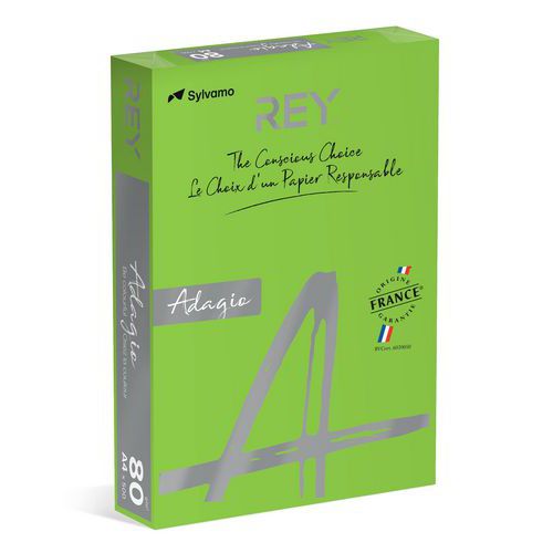 Ramette 500 Feuilles Vives 80g A4 - Vert Pomme