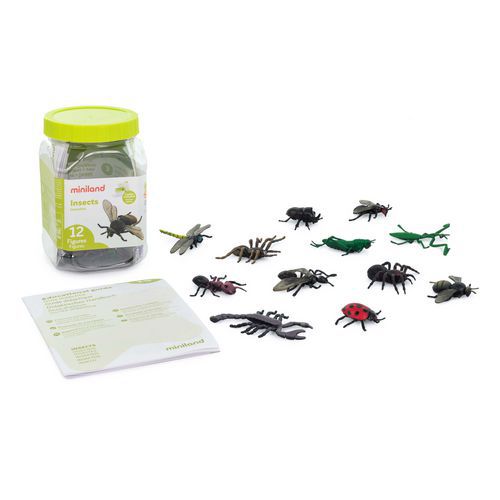 Lot De 12 Insectes