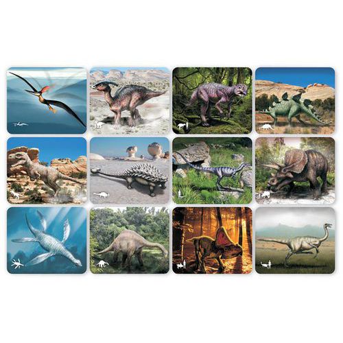 Cartes et radiographies dinosaures (24 pièces) - Roylco