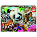 Puzzle selfie animaux 300 pièces - Educa
