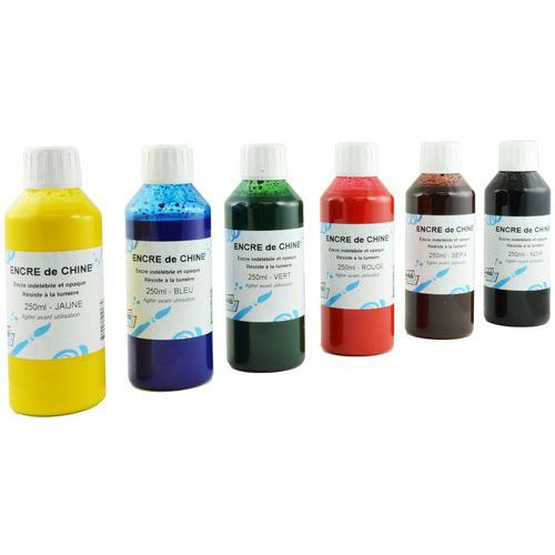Set De 6 Flacons D'encre De Chine 250ml Couleurs Assorties