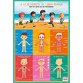 Poster 50x70cm corps humain - Bouchut