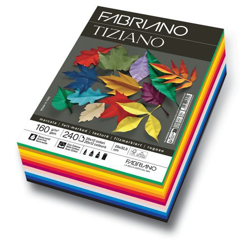 Ramette 250 Feuilles 25 X 325 Tiziano 160 G