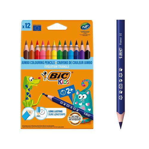 Etui 12 Crayons Couleurs Bic Evolution Triangle
