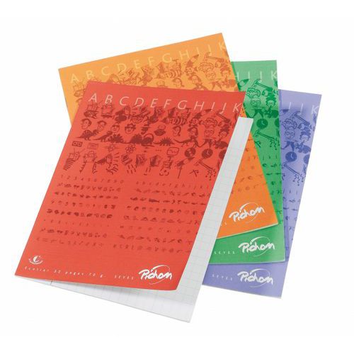 Cahier 17x22 cm 70g 96 pages seyes écolier NF 12 - Pichon