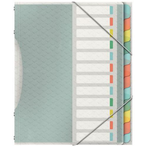 Trieur 24x33 Popyp Col Élastiq 12 Comp Ongl Color