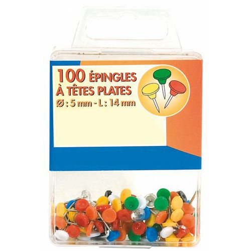 Boite 100 Épingles Signalisation Tête Plate