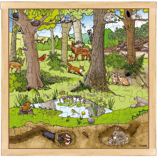 Puzzle 'forêt Au Printemps'