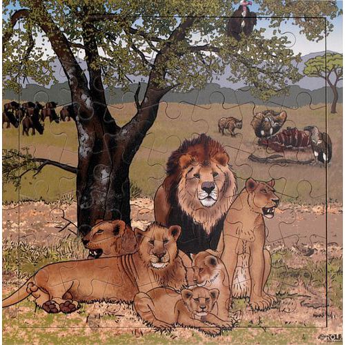 Puzzle lions - 49 pièces - Rolf