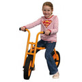 Runner maxi - RaboTricycles