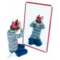 Miroir Incassable 100x65cm