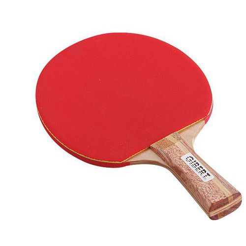 Raquette De Ping-pong Initiation