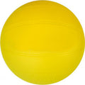 Ballon de volley