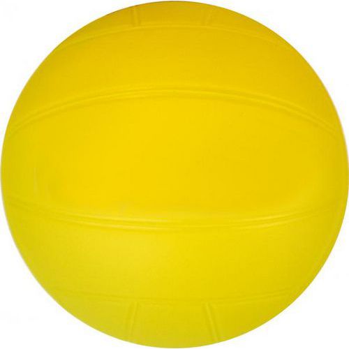 Ballon de volley