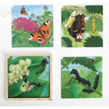Puzzle développement du papillon - Rolf